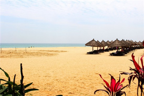 向民炒鸡