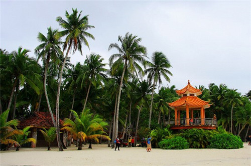 威想自助洗车机