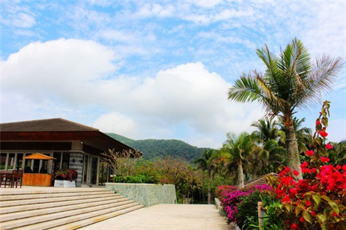 BLOOM.盛放维生素饮料