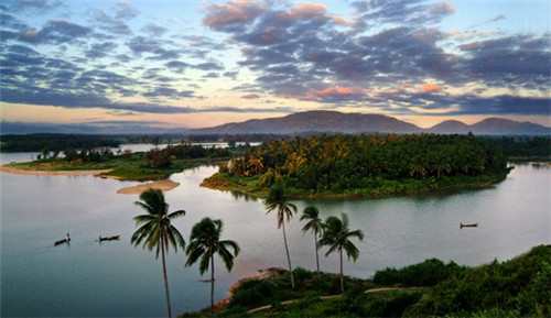 板栗哪个品牌好