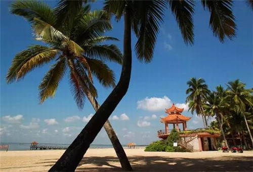 七夕特惠！哪家奶茶店送花最划算？