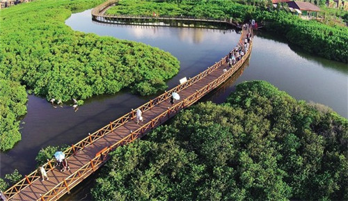 奶茶加盟店有哪些是低加盟费用的，麦果奶茶加盟怎么样