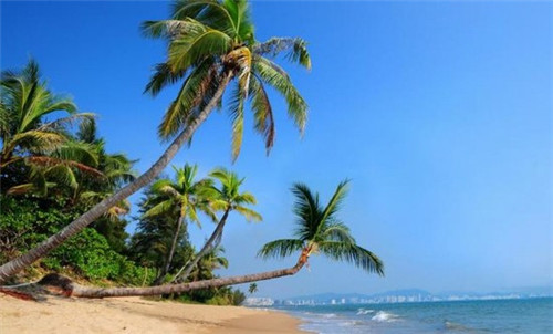 垻提原味饮品品牌实力是否雄厚，加盟垻提原味饮品如何选址