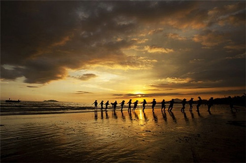 素岛泰茶品牌的发展情况如何