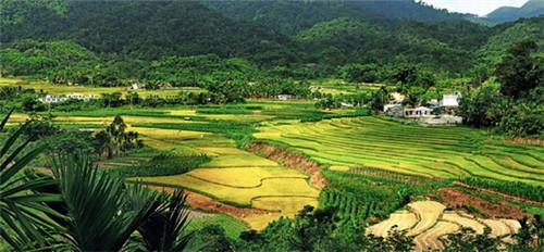 东海有抖音基地吗多少钱（东海县抖音基地怎么样）