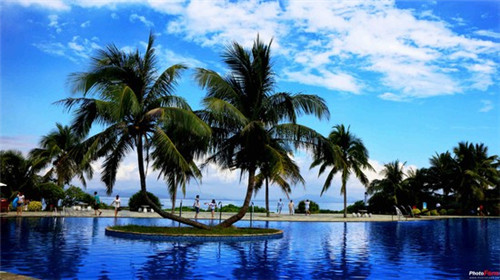 姓纪好听的女孩名字属兔（姓纪的女孩孩名字大全）