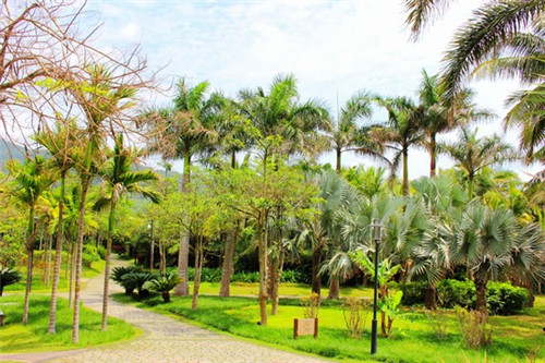 女生表白玩具（女生表白小套路）